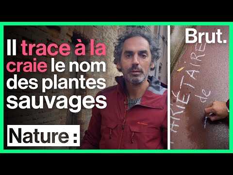 A botanist teaches Toulouse residents the names of urban plants