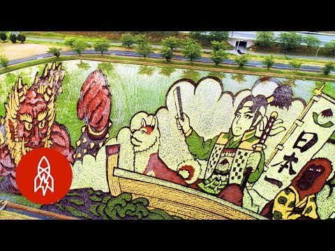 Reisfelder zeichnen Bilder in Japan
