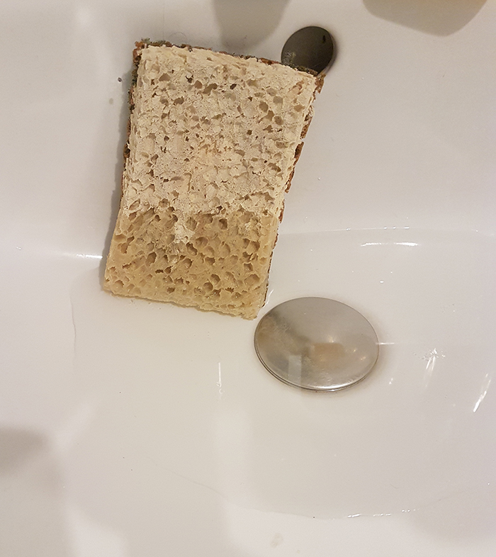Ein Schwamm kann Wasser nicht bis ganz nach oben saugen