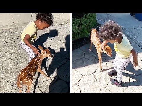 The Landry family receives a fawn