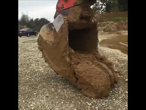Salvar a una cierva con una excavadora hidráulica