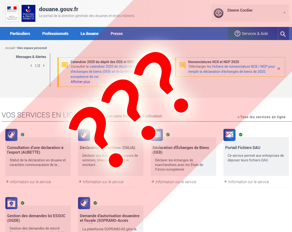 Wie erklärt man Google-Einnahmen auf douane.gouv.fr?