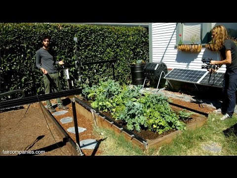 Automatisierter Gemüsegarten