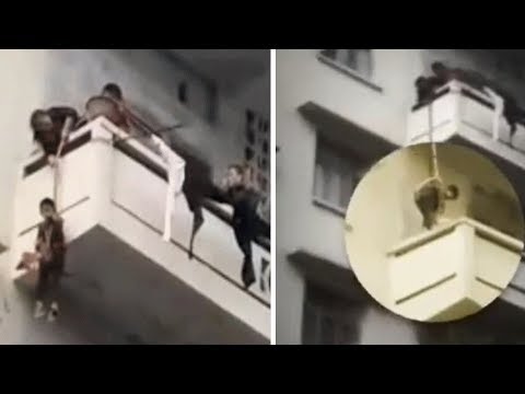 奶奶为救回猫让孙子身陷危险