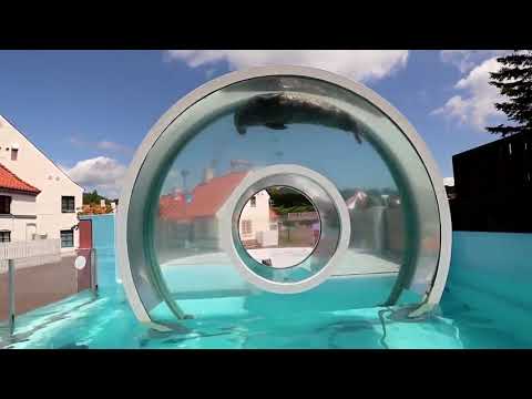 Aquatic circulating seal