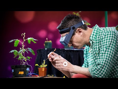 Greg Gage realiza un experimento que demuestra que algunas plantas se comunican y cuentan