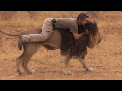 对狮子耳语的男人