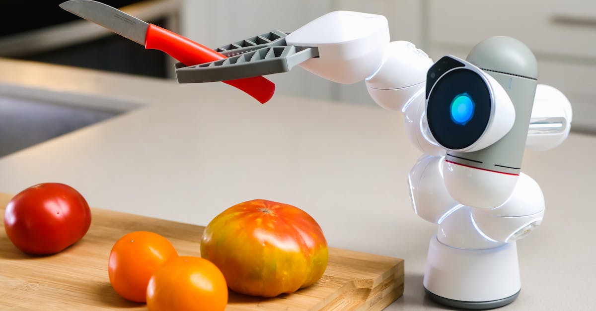 LG CLOiD domestic robot with two articulated arms in a modern connected kitchen