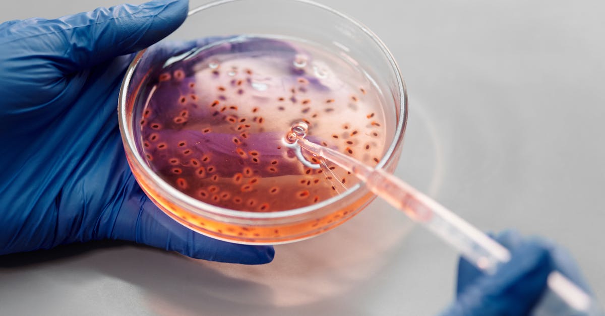 Wissenschaftler im weissen Kittel bearbeitet Proben in einem Genetikforschungslabor mit moderner Ausrustung