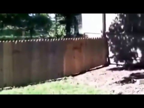 Orgulloso de su valla para impedir que su perro salga