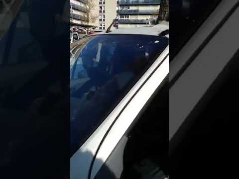 The mystery of the car pierced by a tree in Nantes